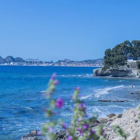 Climatise - Garage Prive - A Pied - Baie Des Anges *