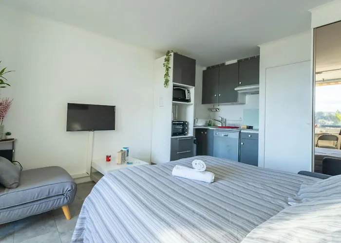 Climatise - Garage Prive - A Pied - Baie Des Anges ラシオタ